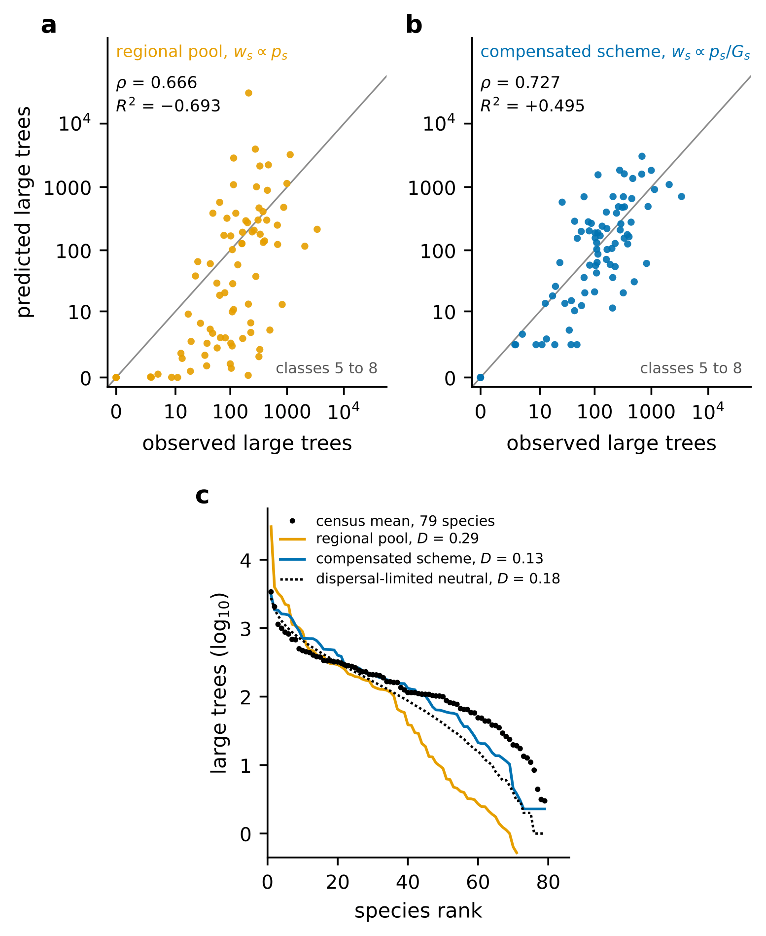 Three panels, two above and one below. (a) Orange points, predicted against observed large-tree abundance per species on logarithmic axes under the regional-pool scheme, scattered widely about the gray identity line; rho = 0.666, R squared = -0.693. (b) The same under the compensated scheme in blue, the points gathered along the identity line; rho = 0.727, R squared = +0.495. (c) Ranked log abundance against species rank: black census points, an orange regional-pool curve that falls far too steeply (D = 0.29), a blue compensated curve tracking the points (D = 0.13), and a dotted fitted-neutral curve between them (D = 0.18).