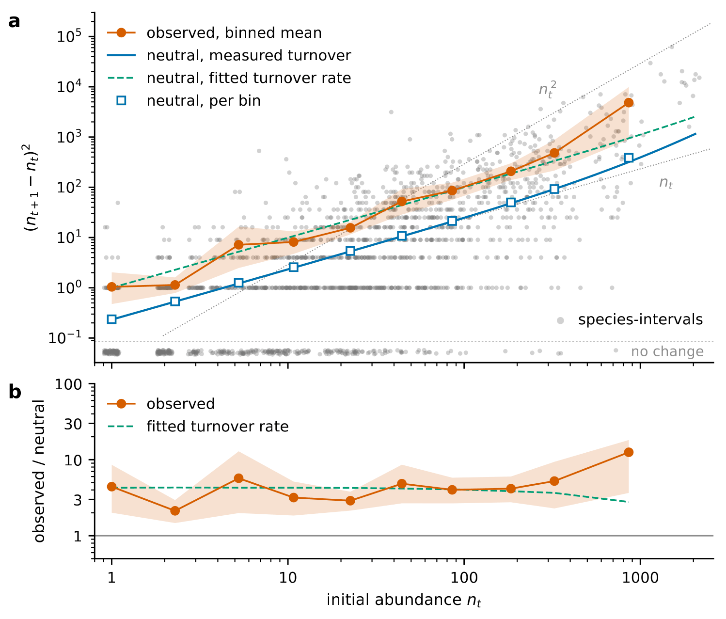 Two stacked panels on logarithmic axes against initial abundance. Top: mean squared abundance change per census interval; small gray dots, one per species per census interval, scatter across the panel, those with no change collected in a row along the bottom; orange circles with a shaded band (observed, binned mean) run well above a blue line with open squares (neutral expectation at the measured turnover), with a green dashed line (neutral at the fitted, faster turnover) and dotted gray guides proportional to n and to n squared. Bottom: the ratio of observed to neutral, orange with its band, near 3 to 5 across all abundances and rising to about 13 in the last bin, while the green dashed line declines gently at high abundance.
