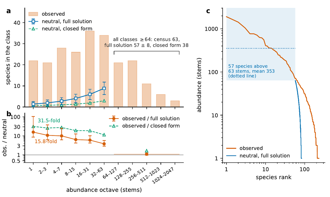 Species per abundance class in the 2005 Barro Colorado census against the exact neutral expectation: the rare classes fall six- to sixteen-fold short
