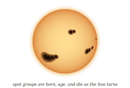 The rotating Sun carrying sunspot groups across its disk, each born small, growing, and eroding away as it ages