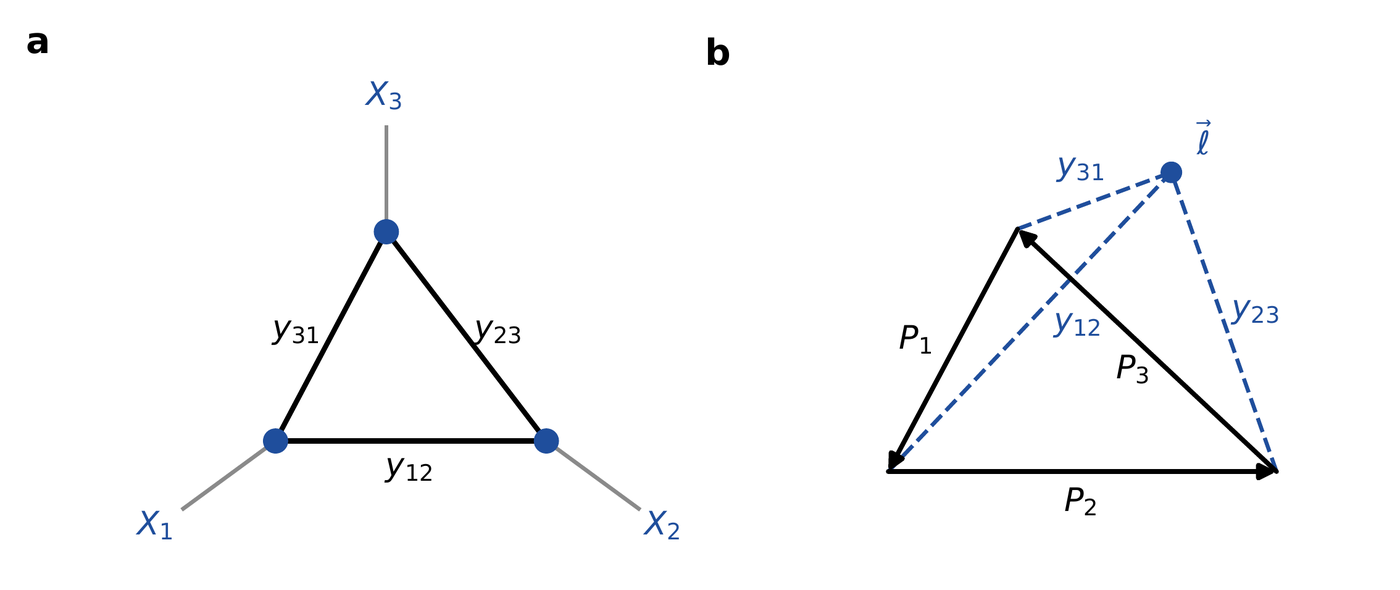 Two line drawings side by side. Panel a: three blue dots at the corners of a triangle joined by thick black edges labeled y31 on the left edge, y23 on the right edge and y12 on the bottom edge; a thin gray line runs outward from each dot to a blue label, X3 above the top dot, X1 below left and X2 below right. Panel b: three black arrows labeled P1, P2 and P3 form a closed triangle, P2 along the bottom pointing right, P3 from the lower right corner up to the upper left corner, P1 from the upper left corner down to the lower left corner; a blue dot labeled with a script letter l carrying a vector arrow sits above and to the right of the triangle, and three blue dashed lines run from it to the three corners, labeled y12 to the lower left corner, y23 to the lower right corner and y31 to the upper left corner.