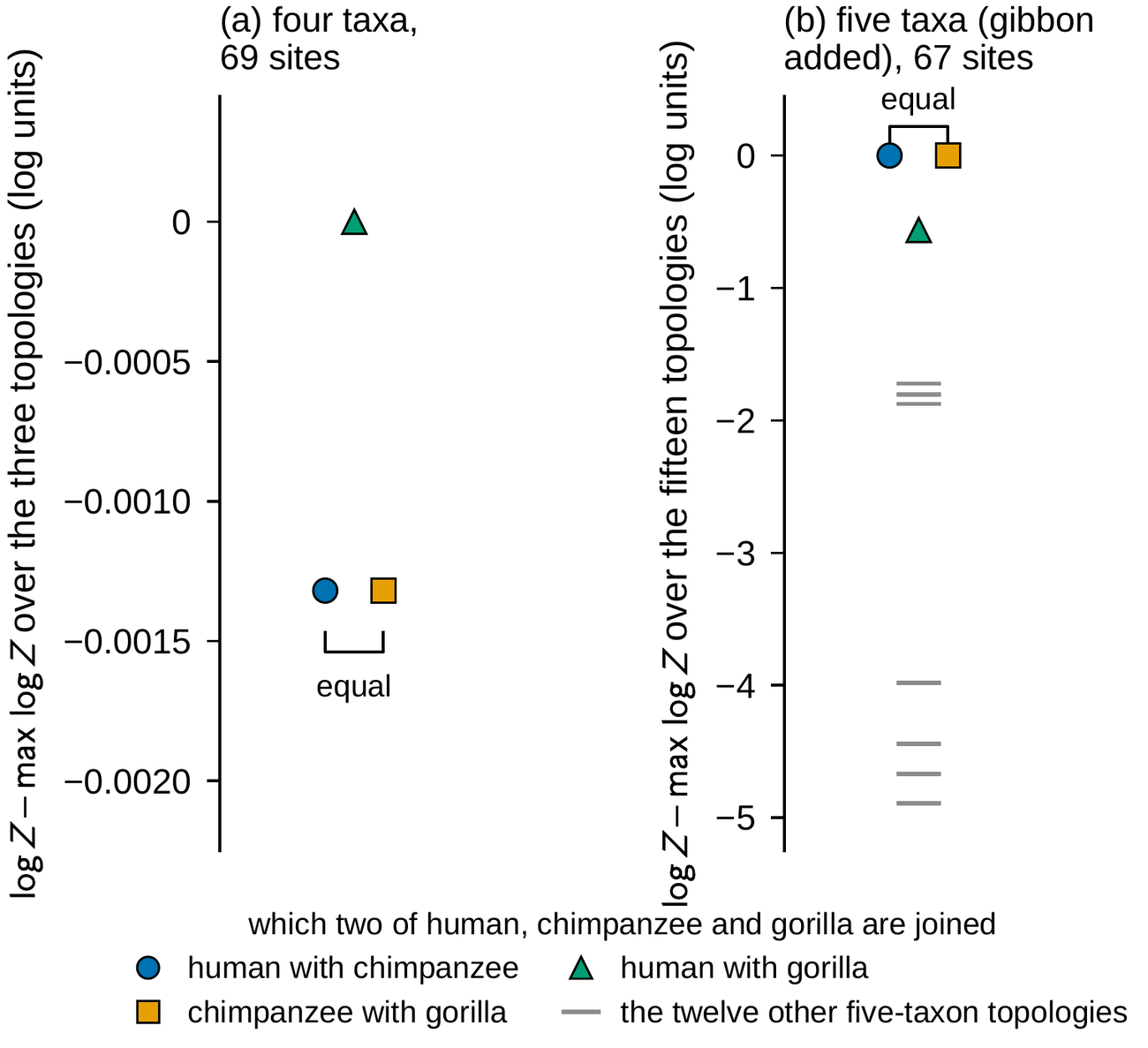 Two strip charts side by side sharing a legend: blue circle human with chimpanzee, orange square chimpanzee with gorilla, green triangle human with gorilla, gray dash the twelve other five-taxon topologies. Panel (a), four taxa, 69 sites: vertical axis log Z minus max log Z over the three topologies in log units from 0 down to minus 0.0020; the green triangle sits at 0; the blue circle and orange square sit together at about minus 0.0013 joined by a bracket labeled equal. Panel (b), five taxa (gibbon added), 67 sites: vertical axis log Z minus max log Z over the fifteen topologies from 0 down to minus 5; the blue circle and orange square sit together at 0 under a bracket labeled equal; the green triangle sits near minus 0.56; three gray dashes cluster near minus 1.7 to minus 1.9 and four more lie between minus 4.0 and minus 4.9.