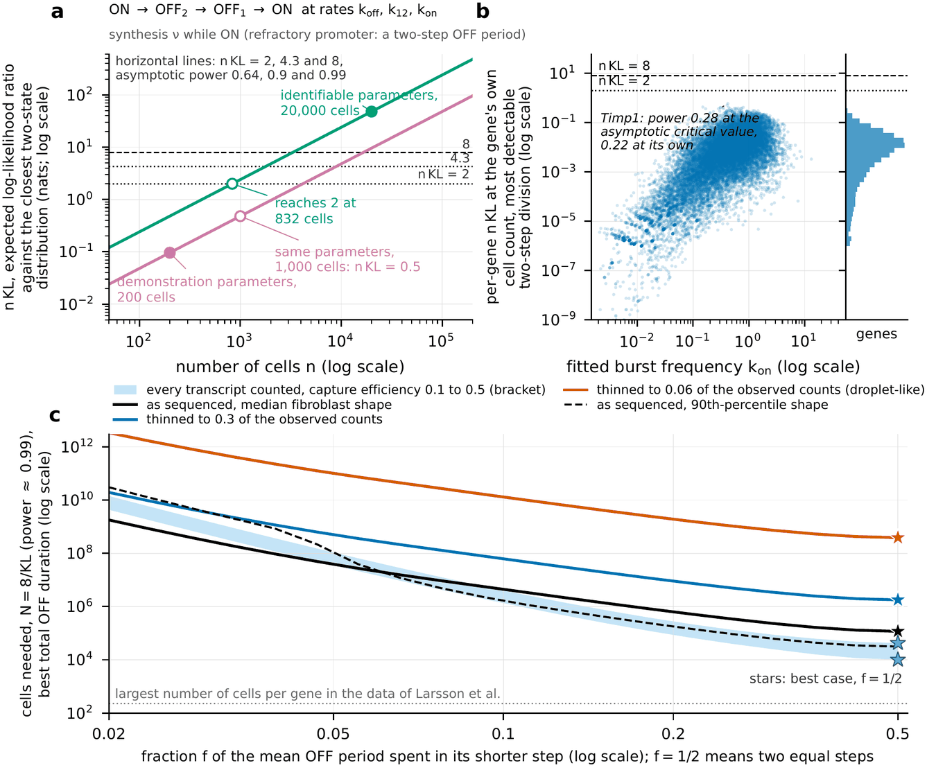 Three panels. Panel a: on log-log axes of expected log-likelihood ratio n times KL against number of cells n from 50 to 200,000, two rising straight lines: a pink line through a filled point labeled demonstration parameters, 200 cells (n KL about 0.1) and an open point labeled same parameters, 1,000 cells: n KL = 0.5, and a green line labeled identifiable parameters through an open point labeled reaches 2 at 832 cells and a filled point at 20,000 cells (about 48); horizontal dashed and dotted lines at n KL of 2, 4.3 and 8, which a note says correspond to asymptotic power 0.64, 0.9 and 0.99. Above the panel a reaction scheme reads ON to OFF2 to OFF1 to ON at rates k_off, k_12, k_on, synthesis nu while ON (refractory promoter: a two-step OFF period). Panel b: a cloud of about twenty thousand blue points, per-gene n KL at the gene's own cell count for the most detectable two-step division, against fitted burst frequency k_on on log axes; the bulk of the cloud lies between 10^-3 and 10^-1, its highest point is near 0.6, and no point reaches the dotted line at n KL = 2 or the dashed line at 8; an italic note reads Timp1: power 0.28 at the asymptotic critical value, 0.22 at its own; a marginal histogram of genes sits at right. Panel c: cells needed, N = 8 over KL (power about 0.99), on a log axis from 100 to 10^12 against the fraction f of the mean OFF period spent in its shorter step from 0.02 to 0.5 (f = 1/2 means two equal steps); a black curve labeled as sequenced, median fibroblast shape falls to a black star near 10^5 at f of one half; a blue curve labeled thinned to 0.3 of the observed counts ends at a blue star near 2 times 10^6; an orange curve labeled thinned to 0.06 of the observed counts (droplet-like) ends at an orange star near 4 times 10^8; a dashed black curve labeled as sequenced, 90th-percentile shape ends between 10^4 and 10^5; a light-blue shaded band labeled every transcript counted, capture efficiency 0.1 to 0.5 (bracket) runs below the black curve and ends at two light-blue stars near 10^4 and 4 times 10^4; a note reads stars: best case, f = 1/2; a dotted horizontal line near 200 is labeled largest number of cells per gene in the data of Larsson et al.