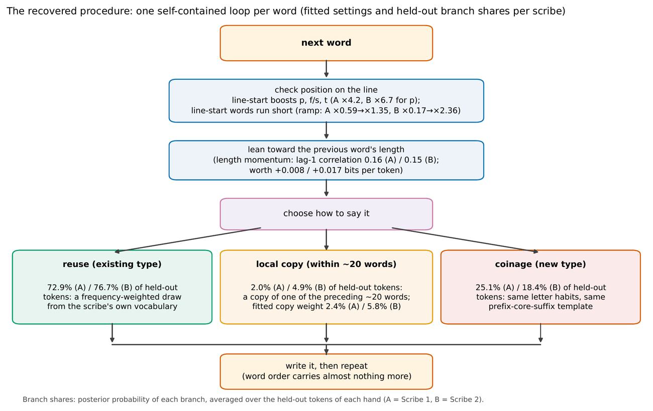 A flow diagram titled the recovered procedure, one self-contained loop per word, with fitted settings and withheld-page branch shares shown per scribe. Boxes from top to bottom joined by arrows: next word; check position on the line (line-start boosts p, f/s, t, A times 4.2 and B times 6.7 for p; line-start words run short, ramp A 0.59 to 1.35, B 0.17 to 2.36); lean toward the previous word's length (length momentum, lag-1 correlation 0.16 for A and 0.15 for B, worth +0.008 and +0.017 bits per token); choose how to say it, which branches three ways: REUSE of an existing type (72.9 percent A, 76.7 percent B of withheld tokens, a frequency-weighted draw from the scribe's own vocabulary), LOCAL COPY within about 20 words (2.0 percent A, 4.9 percent B of withheld tokens, a copy of one of the preceding 20 or so words; fitted copy weight 2.4 percent A, 5.8 percent B), and COINAGE of a new type (25.1 percent A, 18.4 percent B of withheld tokens; same letter habits, same prefix-core-suffix template). The three branches rejoin at a final box: write it, then repeat (word order carries almost nothing more). A footer states that the branch shares are posterior probabilities of each branch averaged over each hand's withheld tokens, with A denoting Scribe 1 and B Scribe 2.